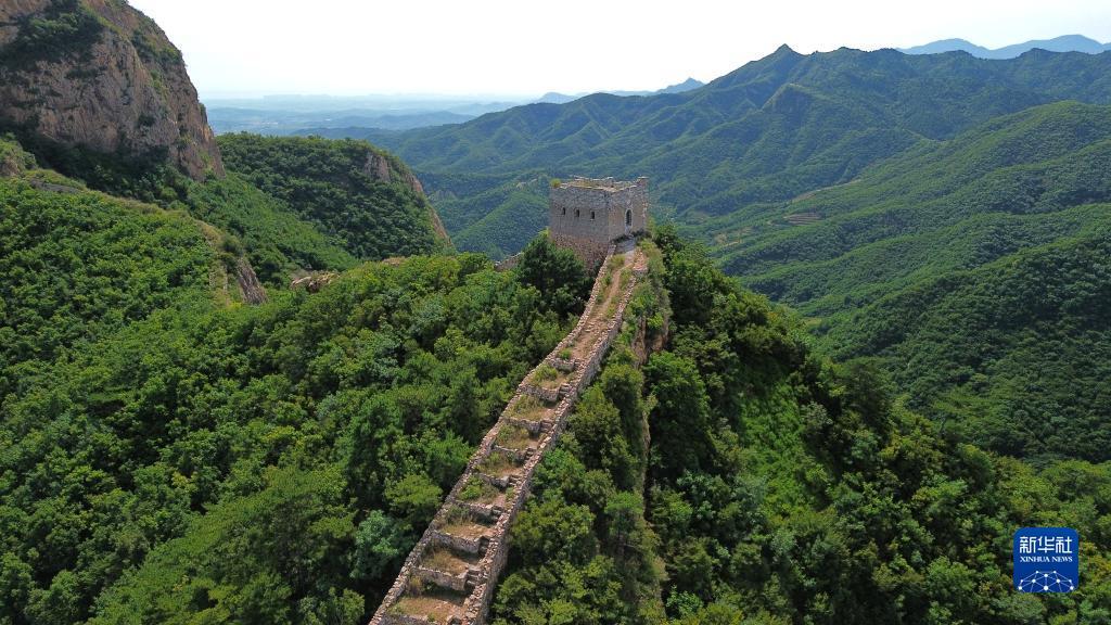天狮官方网站卓越卡登录